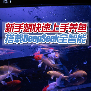讓新手小白懶人也能輕松養(yǎng)魚！一鍵智能喂養(yǎng)，當(dāng)貝1Ultra智能魚缸