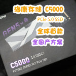 多方位打爆旗艦的國產方案PCIe 5.0 SSD | 海康存儲C5000 2TB測試