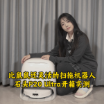 ɨϻˣʯͷP20Ultraʵ