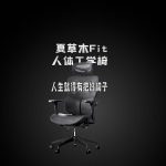夏草木Fit人体工学椅评测：人生就得有把好椅子