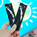 DDR5內(nèi)存已經(jīng)全面普及，新裝機(jī)為什么我還是推薦酷芯客DDR4內(nèi)存