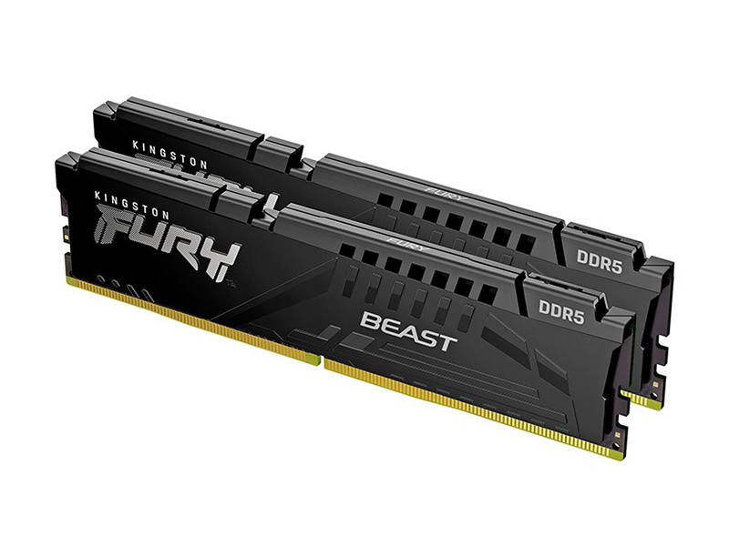 金士顿 骇客神条 beast野兽系列 ddr5 4800 32gb(16gb×2)