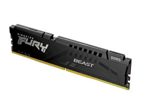 ʿٺ BeastҰϵ DDR5 5600 16GB