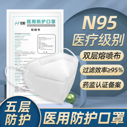 恒助 N95無呼吸閥口罩 10片