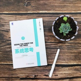 《系統(tǒng)思考》（白金版）