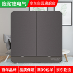 Schneider Electric 施耐德電氣 AvatarOn繹尚系列 雙開(kāi)雙控開(kāi)關(guān) 熒光灰 LED款