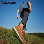 Timberland 添柏嵐 A41Z1 男款休閑短靴