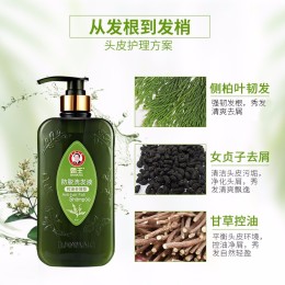 BAWANG 霸王 防脫洗發(fā)液 控油去屑型 750ml