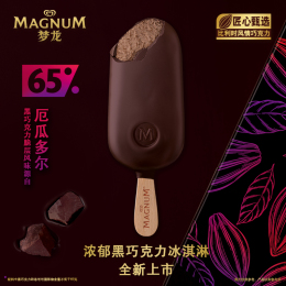 MAGNUM 夢(mèng)龍 濃郁黑巧克力冰淇淋 256g
