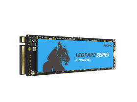 ʿص豪ϵLPV 830 256GB M.2 SSD