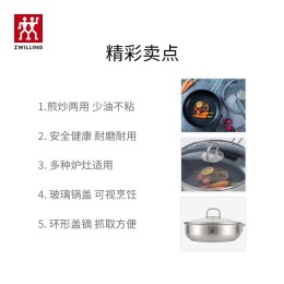 ZWILLING 雙立人 Nova Plus不粘煎鍋 24cm