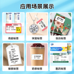 精臣 B21服裝食品珠寶智能標(biāo)簽打印機(jī)熱敏手持便攜式超市價(jià)格預(yù)約二維碼商品不干膠吊牌珠寶貼紙配料表 B21 綠色（單機(jī)，需購(gòu)買標(biāo)簽紙）