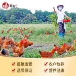 PLUS會(huì)員：潭牛 海南文昌雞 白切雞塊 800g