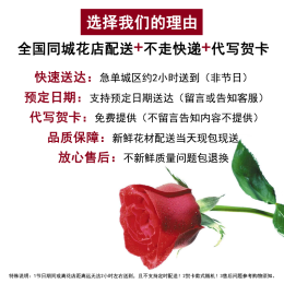 PLUS會(huì)員：鮮花情 只鐘情你 33朵香檳玫瑰花束