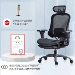 YANXUAN 網(wǎng)易嚴(yán)選 開拓者系列 多功能人體工學(xué)轉(zhuǎn)椅