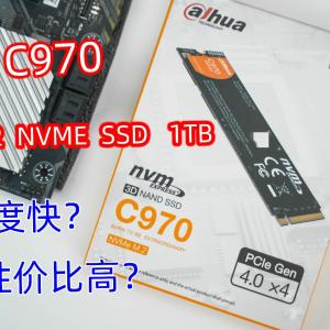 花着PCIE3.0价格享受PCIE4.0速度，大华存储C970真香！