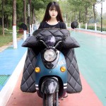 AUBURN 奧本 電動(dòng)車(chē)中款擋風(fēng)被