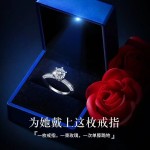 蒂瑞珂 女士莫桑石銀戒指 1克拉 DJZ003