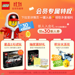 LEGO 樂高 Technic科技系列 42096 保時捷 911 RSR