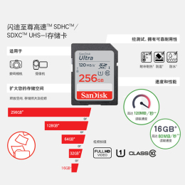SanDisk 閃迪 至尊高速系列 SD存儲卡 256GB（UHS-I、C10）