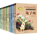 《紐伯瑞兒童文學(xué)獎(jiǎng)作品系列》（全10冊(cè)）