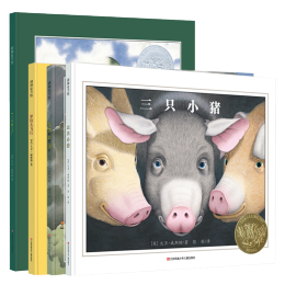 《大衛(wèi)·威斯納繪本》（套裝共4冊(cè)）