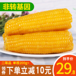 【非轉(zhuǎn)基因】禾久黃糯鮮食甜糯即黏玉米棒粗糧食真空10條裝包郵