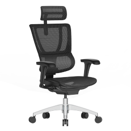 Ergonor 保友辦公家具 優(yōu)B 人體工學(xué)電腦椅 黑色 高配版