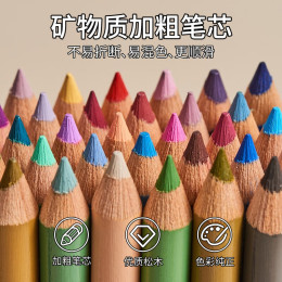 PRISMACOLOR 培斯瑪 初階油性彩鉛套裝 36色