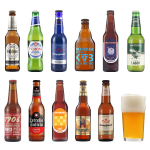 VEDETT 白熊 啤酒禮盒裝 混合口味 11瓶
