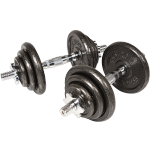 PROIRON PRKCAS20K 純鐵啞鈴 20KG