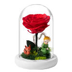 RoseBox生日禮物女小王子的玫瑰花鮮高級(jí)520情人節(jié)結(jié)婚永生花送女生朋友
