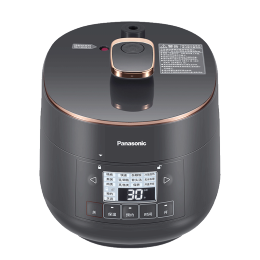 Panasonic 松下 SR-PB201-H 電壓力鍋 2L 灰色