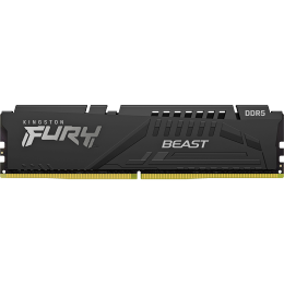 Kingston 金士頓 Beast野獸系列 DDR5 5600MHz 臺(tái)式機(jī)內(nèi)存 馬甲條 黑色 64GB 32GB
