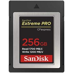 SanDisk 闪迪 Extreme PRO Cfexpress B 型卡，64GB，*高1700MB/SSDCFE-256G-GN4IN 256 GB
