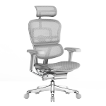 Ergonor 保友辦公家具 金豪E 2代 人體工學(xué)電腦椅 銀白色 Q4.0版