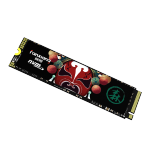 FANXIANG 梵想 S500PRO 國潮系列 M.2 NVMe 固態(tài)硬盤 1TB