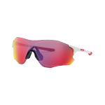 OAKLEY 歐克利 騎行眼鏡 0009313-04
