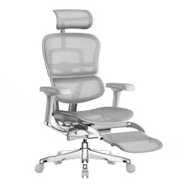 Ergonor 保友辦公家具 金豪E 2代 人體工學(xué)電腦椅 躺舒寶 銀白色 Q4.0版