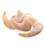 Clearwater 北極清水 加拿大原裝進(jìn)口北極白玉貝 鳥貝 1kg