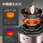 蘇泊爾(SUPOR) 電飯煲電飯鍋IH電磁加熱智能預(yù)約5L觸摸操控精鐵球釜家用智能 SF50HC750