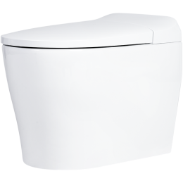 American Standard 美標 衛(wèi)浴一體式全自動智能一體機遙控器 305mm