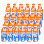 北冰洋 汽水飲料果汁味碳酸飲料 桔汁汽水280ml*24瓶 PET塑封包裝 便攜