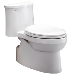 KOHLER 科勒 艾黛兒系列 K-5171T-SE-0 裙包連體馬桶 305mm坑距