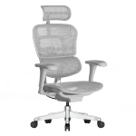 Ergonor 保友辦公家具 金豪B 2代 人體工學(xué)電腦椅 銀白色 美國(guó)網(wǎng)款