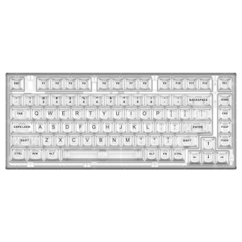 新盟（TECHNOLOGY） X75客制化机械键盘Gasket全透明热插拔凯华水母轴有线RGB游戏 白透【单模版】 盐白轴(45g段落)