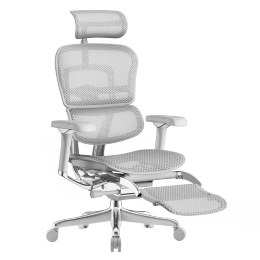 Ergonor 保友辦公家具 金豪L 2代 人體工學(xué)電腦椅+躺舒寶 銀白色