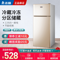 志高(CHIGO)BCD-99A189L 小型双门迷你小冰箱 家用双开门电冰箱 节能两门冰箱小闪亮金直冷