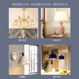 NVC Lighting 雷士照明 5瓦尖泡丨暖黃光 E27大螺口