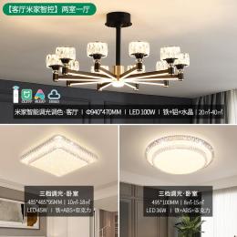 NVC Lighting 雷士照明 麗影 客廳燈語音智控丨兩室一廳
